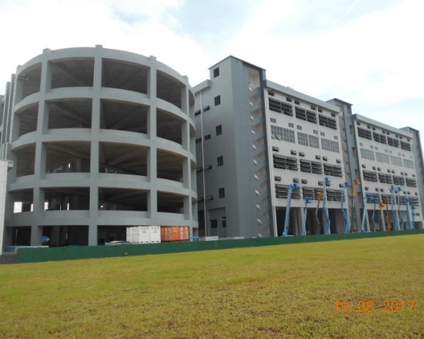 Bok Seng